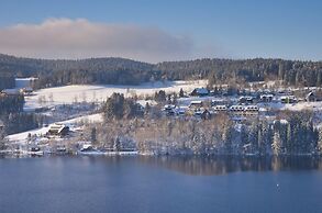 Nature Titisee