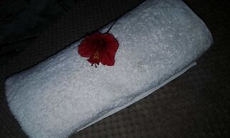 Gan Eden Guest Cottage