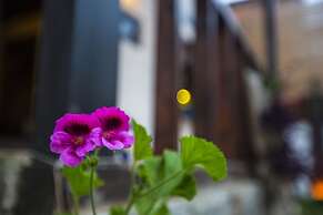 Şamlıoğlu Historical Mansion