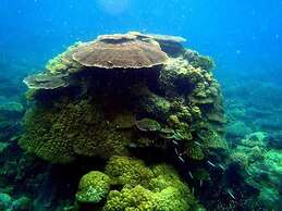 Hwan Dynasty Suite Elnido