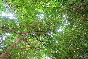 Tabinoteitaku Okinawa Bise Homann Concept