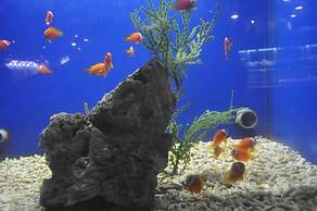 MG Hotel - St. Michael's Cathedral, Qingdao