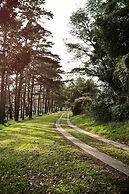 302 On Old Seaview Road Chelsea