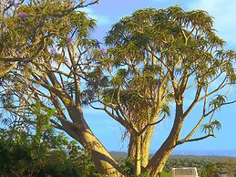 302 On Old Seaview Road Chelsea