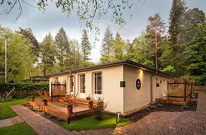 Little Suite Apartments