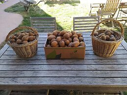 Domaine Saint Martin