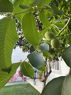 Alacati Umitev Hotel