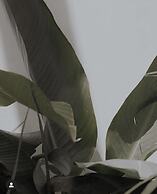 Alacati Umitev Hotel