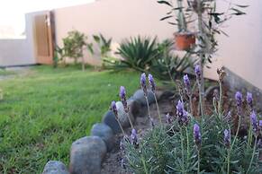 Salty Jackal Surf Camp