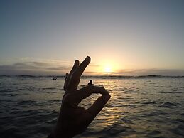 Salty Jackal Surf Camp