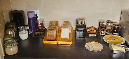 Salty Jackal Surf Camp