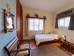 Salty Jackal Surf Camp