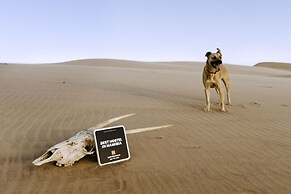 Salty Jackal Surf Camp