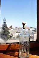 Salty Jackal Surf Camp