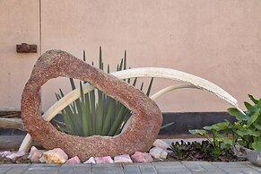 Salty Jackal Surf Camp