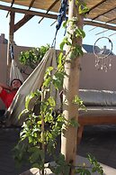 Salty Jackal Surf Camp