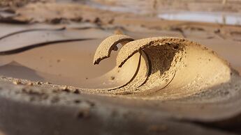 Salty Jackal Surf Camp