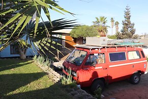 Salty Jackal Surf Camp