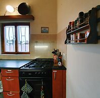 Salty Jackal Surf Camp