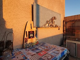 Salty Jackal Surf Camp