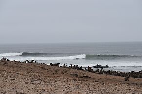 Salty Jackal Surf Camp