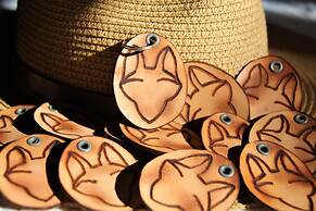 Salty Jackal Surf Camp