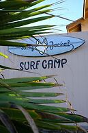 Salty Jackal Surf Camp