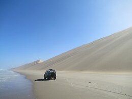 Salty Jackal Surf Camp