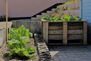 Salty Jackal Surf Camp