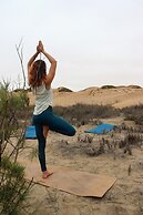 Salty Jackal Surf Camp