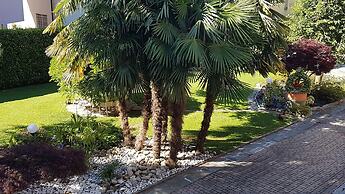 B&B Le Palme