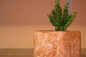 CASA ALESSANDRA POSITANO