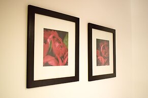 Downtown Apartments Pula