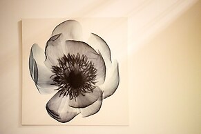 Downtown Apartments Pula