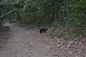 Pacheco Tours & Cabinas