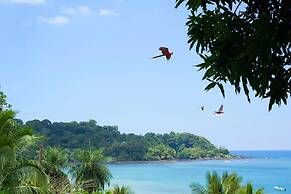 Pacheco Tours & Cabinas