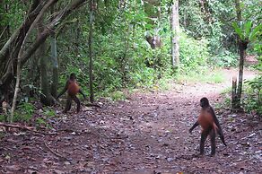 Pacheco Tours & Cabinas