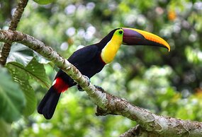 Pacheco Tours & Cabinas