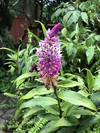 Casa Gitana Corcovado