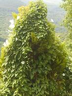 Split-level house in East Pelion