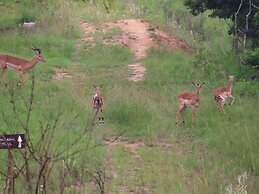 AtNature Luxury Self Catering Cottages