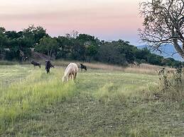AtNature Luxury Self Catering Cottages