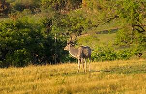 AtNature Luxury Self Catering Cottages