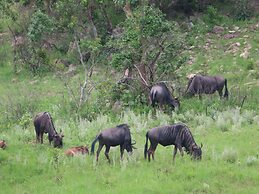 AtNature Luxury Self Catering Cottages