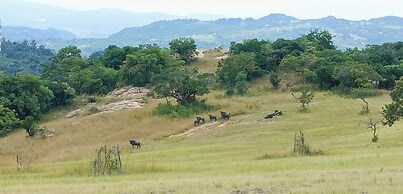 AtNature Luxury Self Catering Cottages