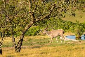 AtNature Luxury Self Catering Cottages