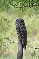 Schott’s Lake Conference & Resort