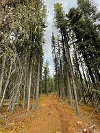 Schott’s Lake Conference & Resort