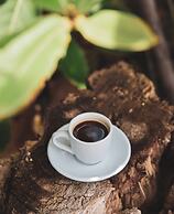 Mizata By Antiresort