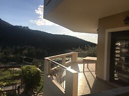 Mountain View Apartment